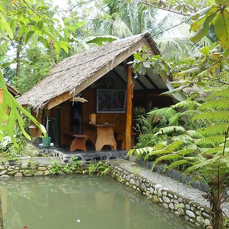 Magpie Homestay & Jungle Trekking Only For Guest Trekking With Us Bukit Lawang Exterior photo
