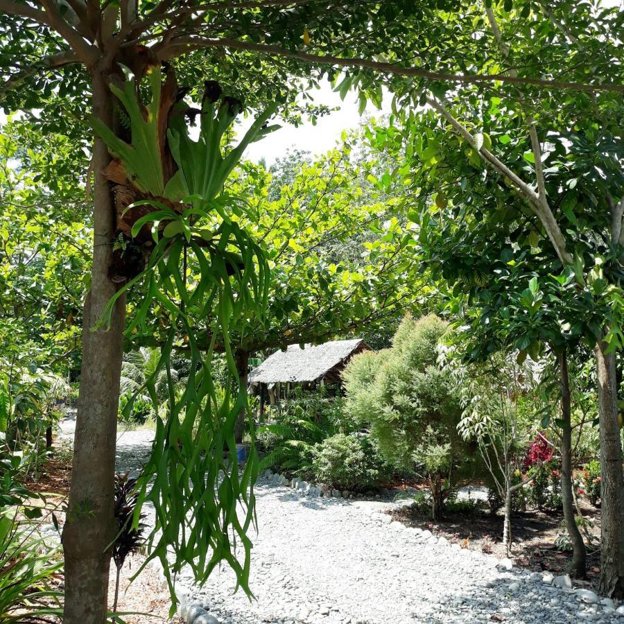Magpie Homestay & Jungle Trekking Only For Guest Trekking With Us Bukit Lawang Exterior photo
