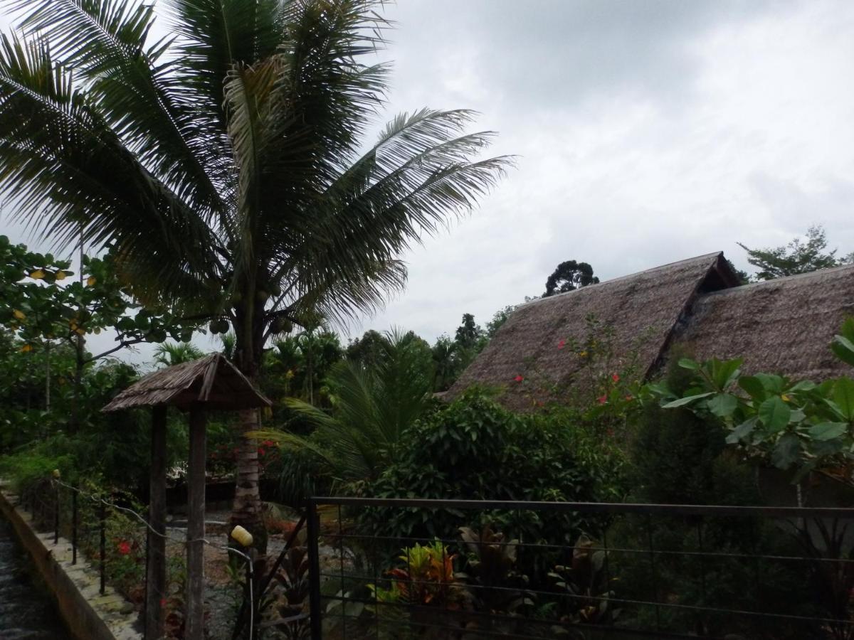 Magpie Homestay & Jungle Trekking Only For Guest Trekking With Us Bukit Lawang Exterior photo