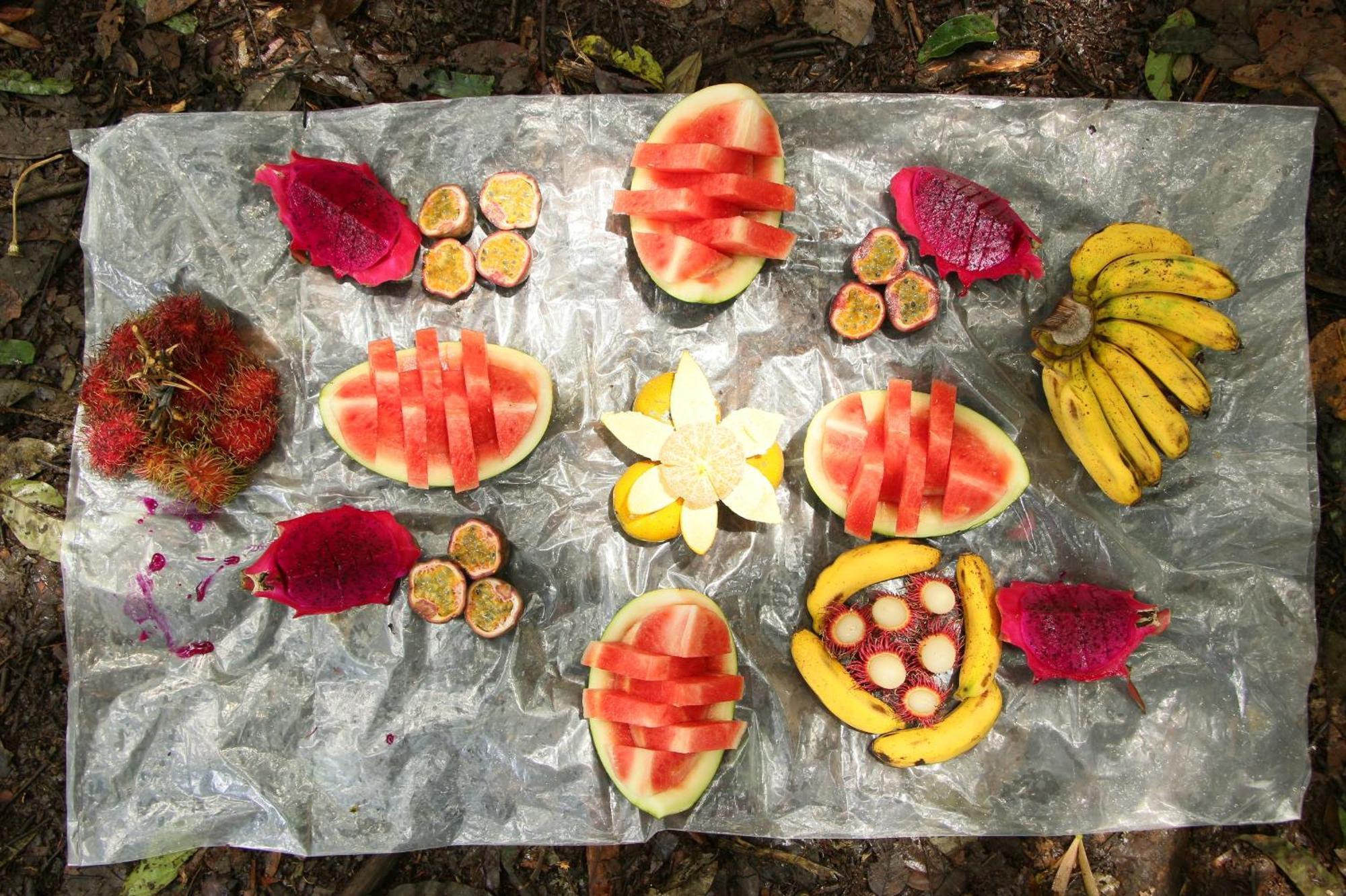 Magpie Homestay & Jungle Trekking Only For Guest Trekking With Us Bukit Lawang Exterior photo