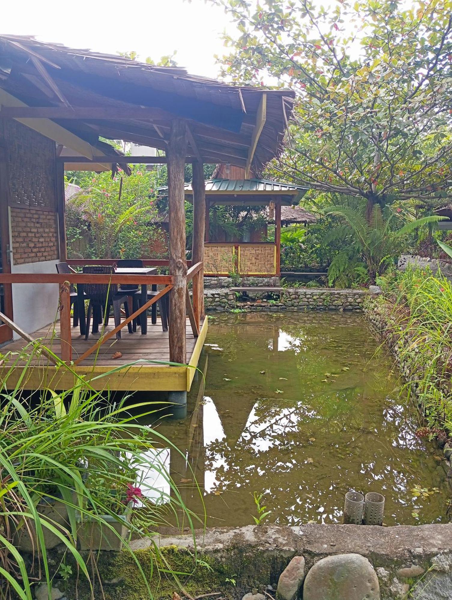 Magpie Homestay & Jungle Trekking Only For Guest Trekking With Us Bukit Lawang Room photo