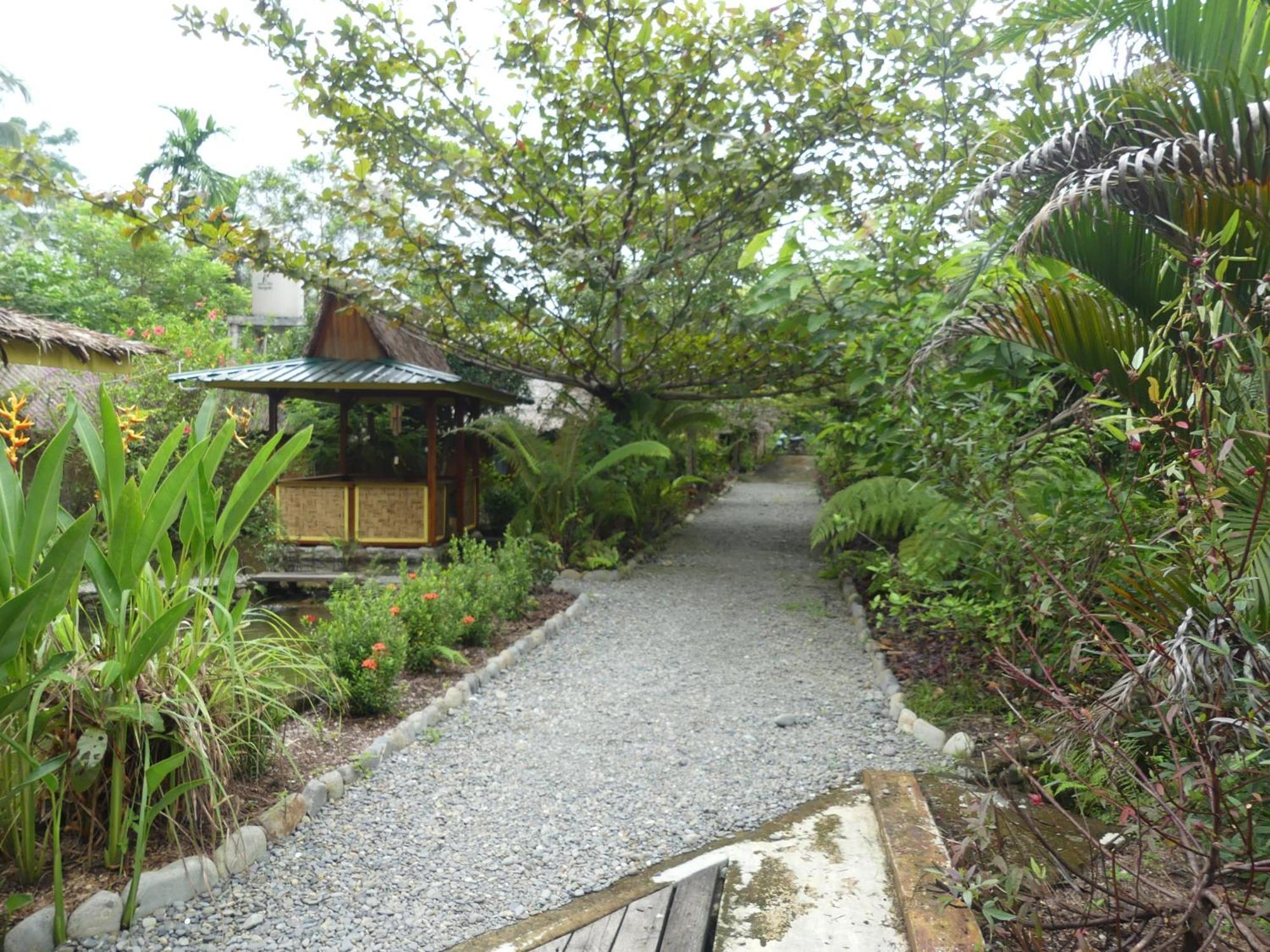 Magpie Homestay & Jungle Trekking Only For Guest Trekking With Us Bukit Lawang Room photo